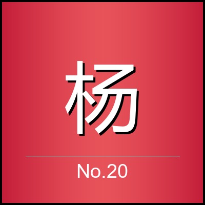 杨雪晴