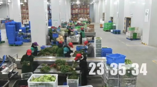 叮咚买菜是阿里系还是腾讯系