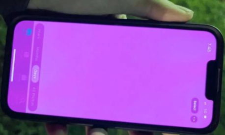 iphone13粉红屏死机是怎么回事1