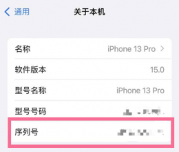 苹果13序列号n开头是什么意思