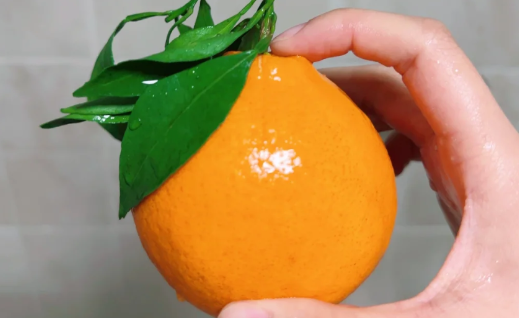 洗澡时可以吃橘子吗3