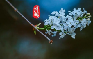 2023清明节开门做生意好吗